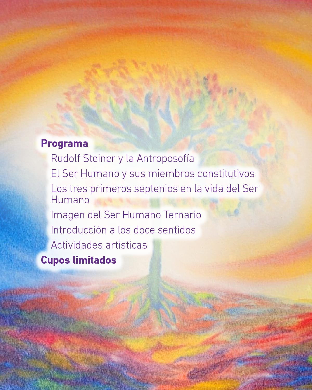 Seminario Intensivo